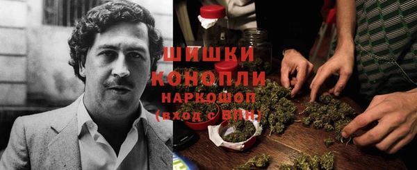 ГАЛЛЮЦИНОГЕННЫЕ ГРИБЫ Алексин