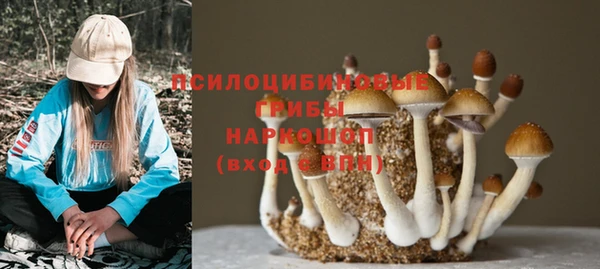 ГАЛЛЮЦИНОГЕННЫЕ ГРИБЫ Алексин