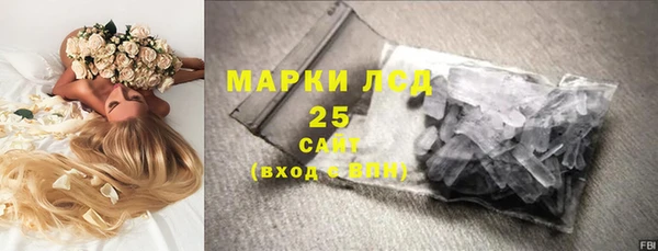 ГАЛЛЮЦИНОГЕННЫЕ ГРИБЫ Алзамай