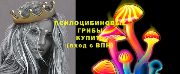 ГАЛЛЮЦИНОГЕННЫЕ ГРИБЫ Алзамай