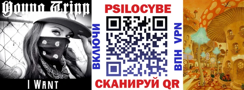 наркотики Шумиха Псилоцибиновые грибы прущие грибы